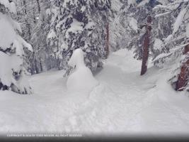 Ski Trail Condominiums Стиймбоут Спрингс Екстериор снимка